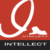 INTELLECT GROUP